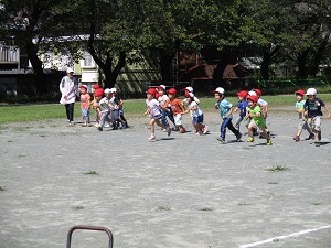 IMG_0374.JPG