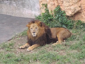IMG_0899.JPG
