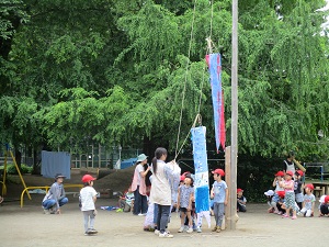 IMG_0989.JPG