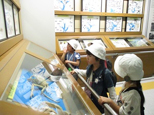 IMG_3561.JPG